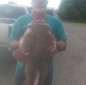 Meet your Posher, Dan